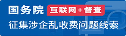 国务院 互联网+督查